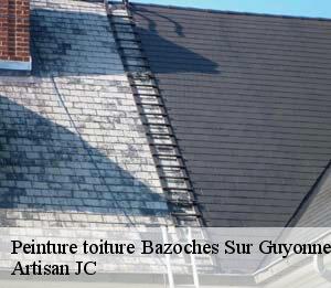 Peinture toiture