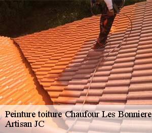 Peinture toiture