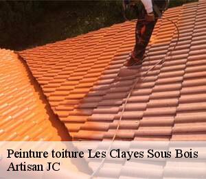 Peinture toiture