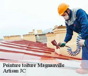 Peinture toiture