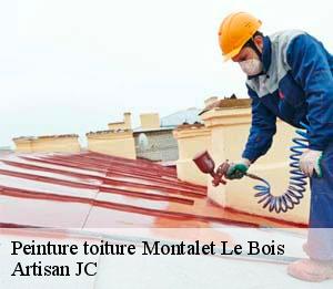 Peinture toiture