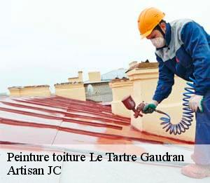 Peinture toiture