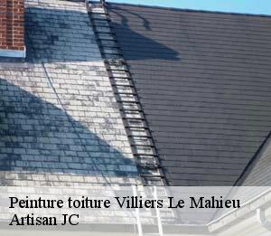 Peinture toiture