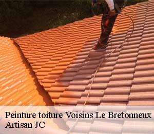 Peinture toiture